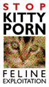kittyporn.gif (4436 bytes)